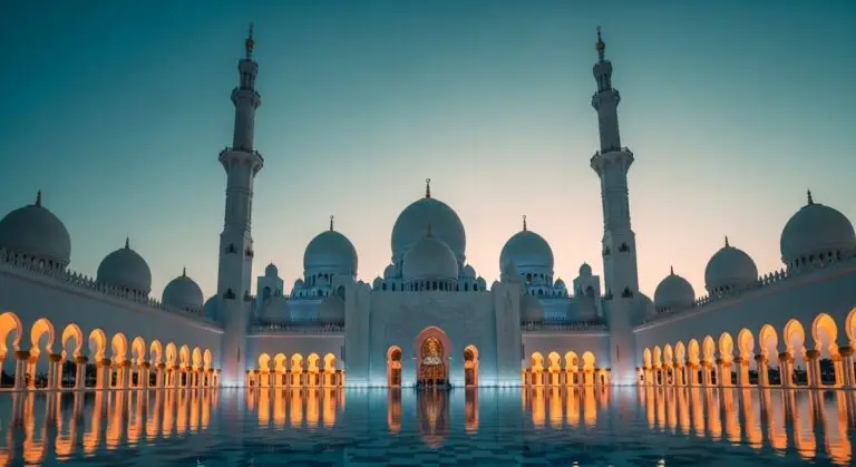 Whisk 2e40f04bbd4a2ba9c5e46f51f9f9793adr